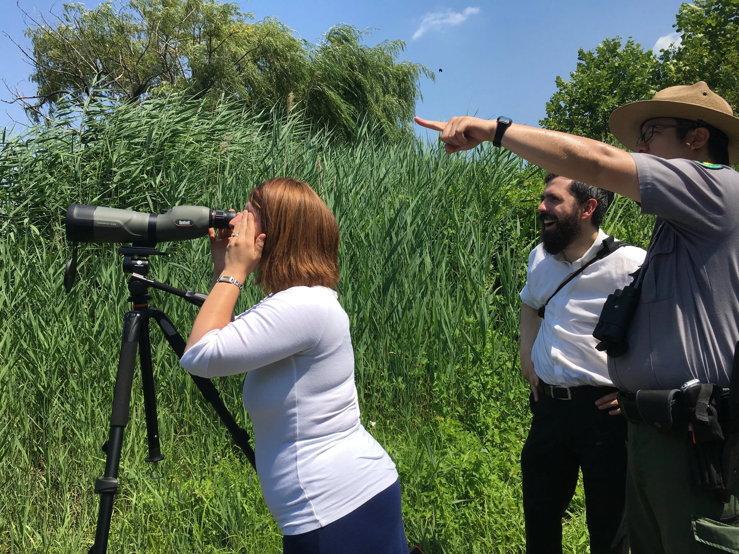 Birding: Hawk Watch (Urban Park Rangers) 