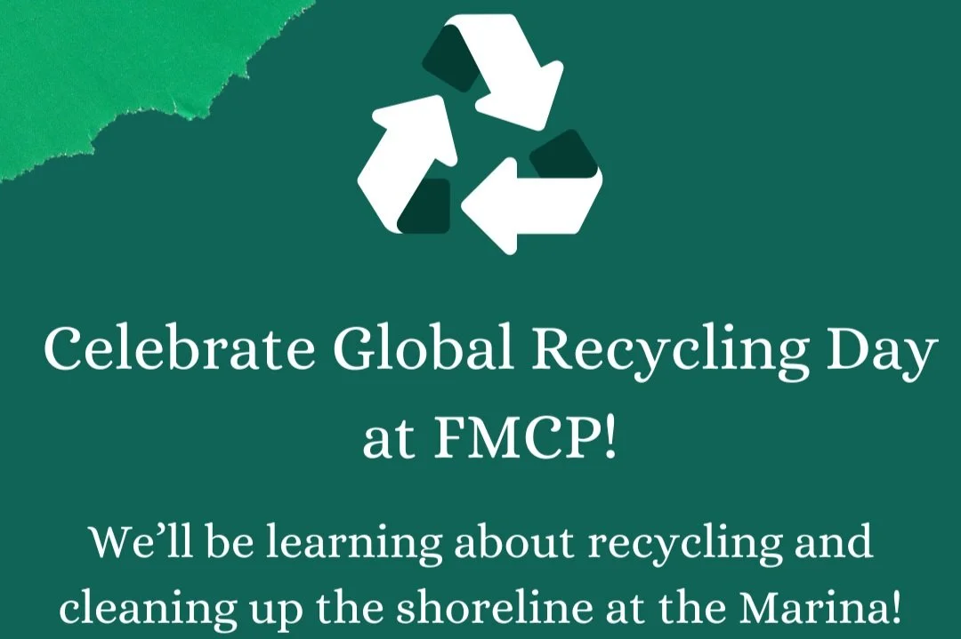 Global Recycling Day (Volunteer Opportunity) 