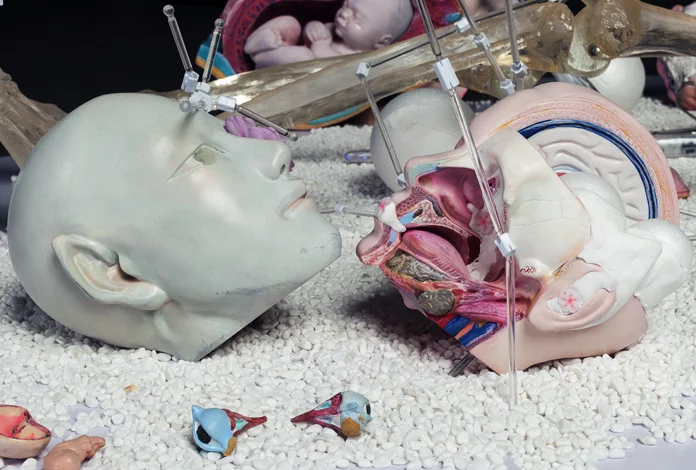 宋琨 / Song Kun, Neverland, 2015, Installation, mix media, 450×380cm.
