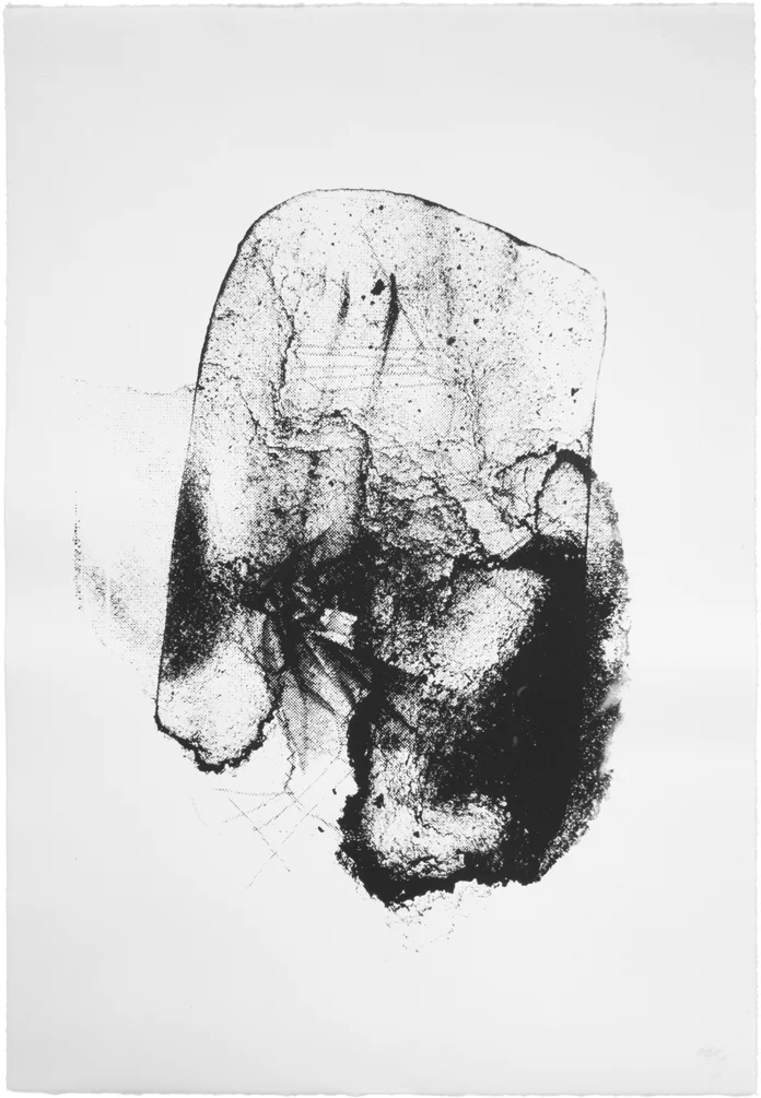 “Unthinking Matter” af Thomas Pålsson | Untitled (Print 1), Screen print on paper, 63 x 91 cm.