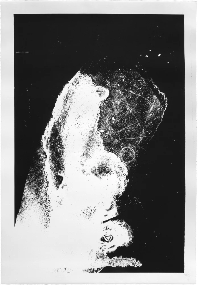 “Unthinking Matter” af Thomas Pålsson | Untitled (Print 6), Screen print on paper, 63 x 91 cm.