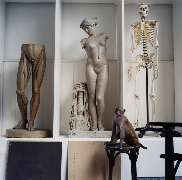 Photo by Karen Knorr.