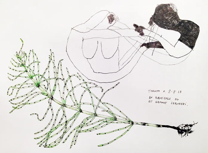 Illustrationer af Signe Parkins.