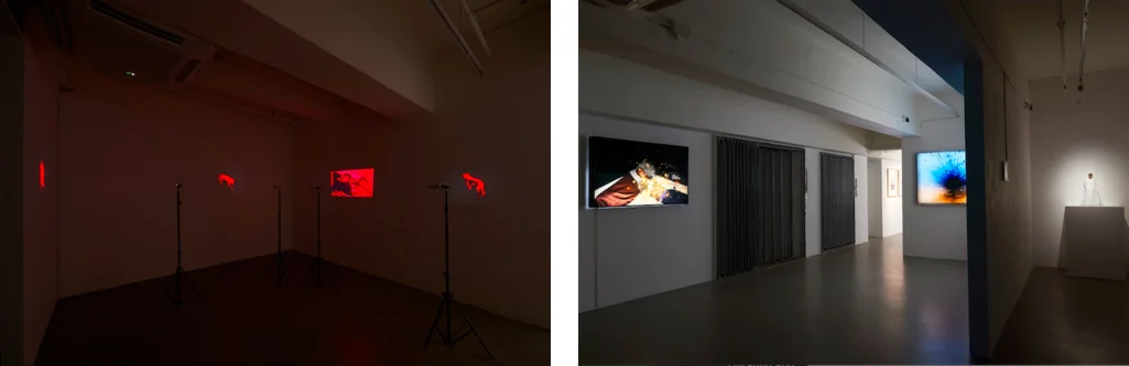 “Apichatpong Weerasethakul: The Serenity of Madness”, Para Site, Hong Kong (2016) | Foto: Para-site.org