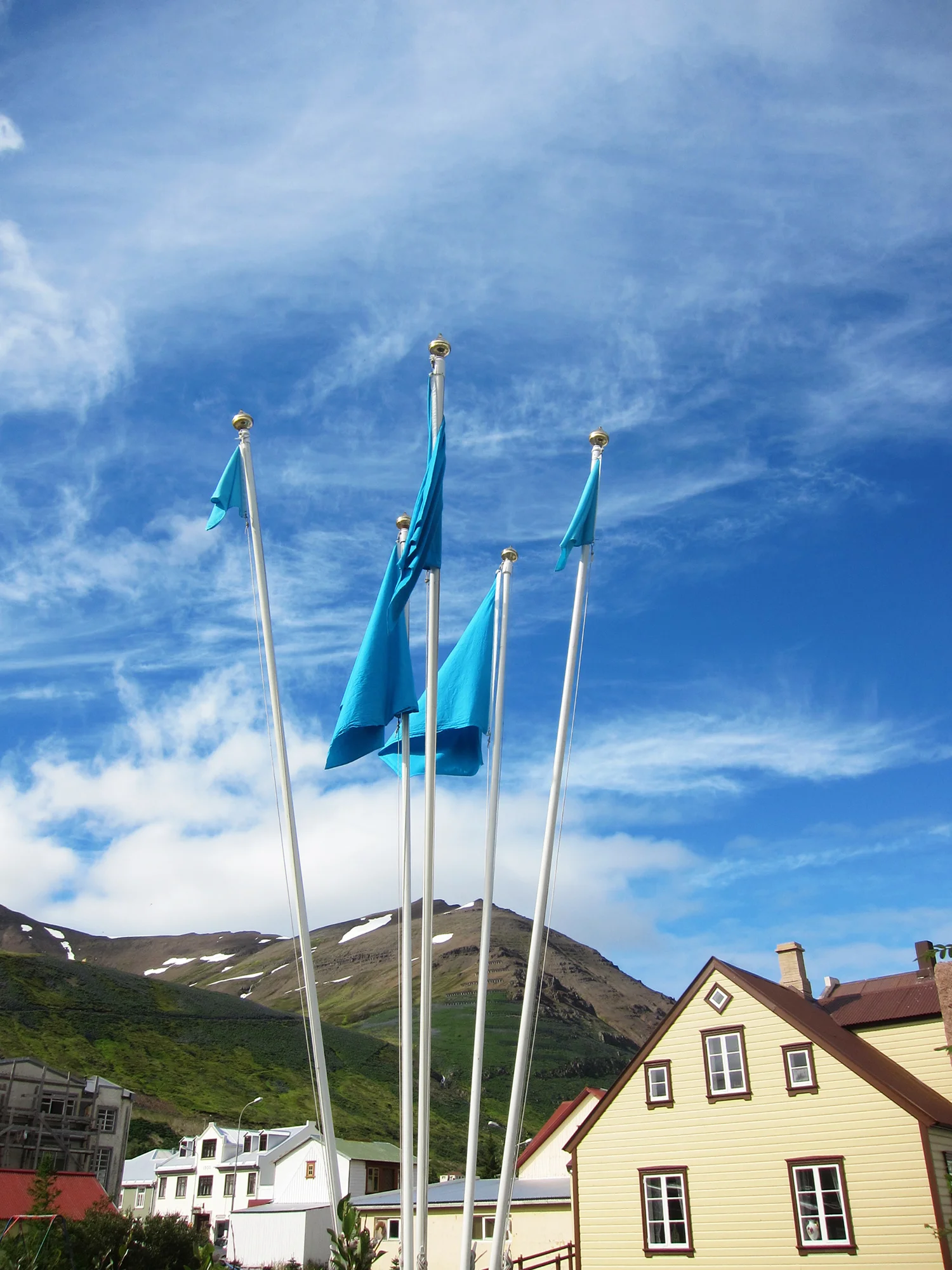 Flags (2013): En tværfaglig gruppe deltagere producerede 136 flag i forskellige størrelser – et til hver flagstang i byen. På REITIRs åbningsdag blev samtlige flag hejst på samme tid i en koordineret kæmpeperformance.