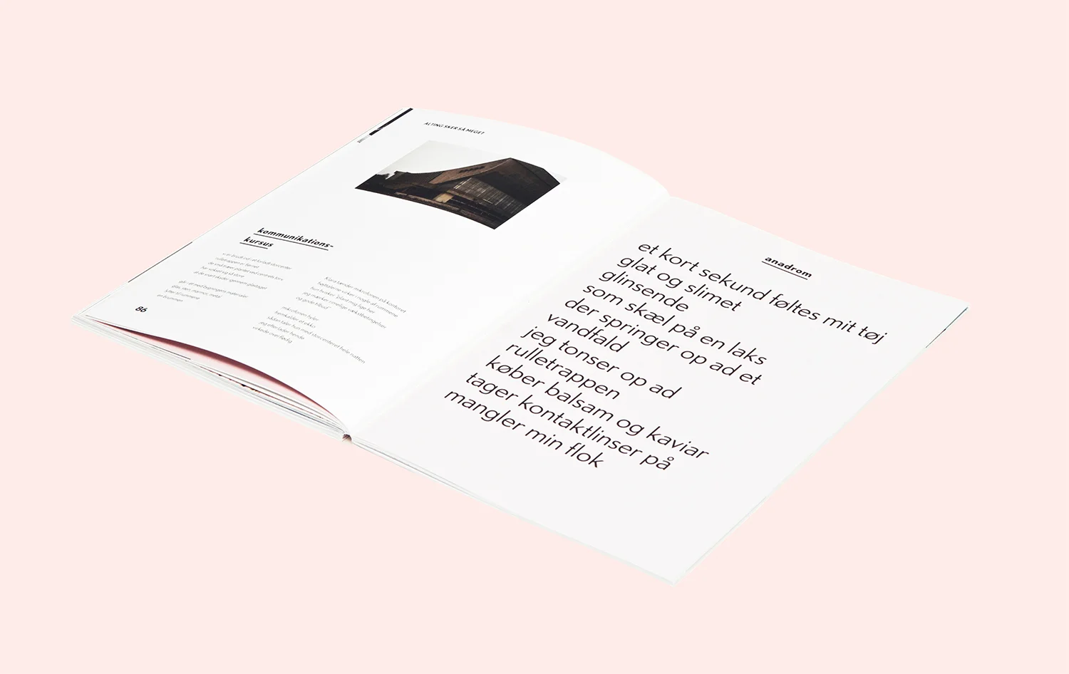 Alting_Sker_Så_Meget-PRESS12.jpg