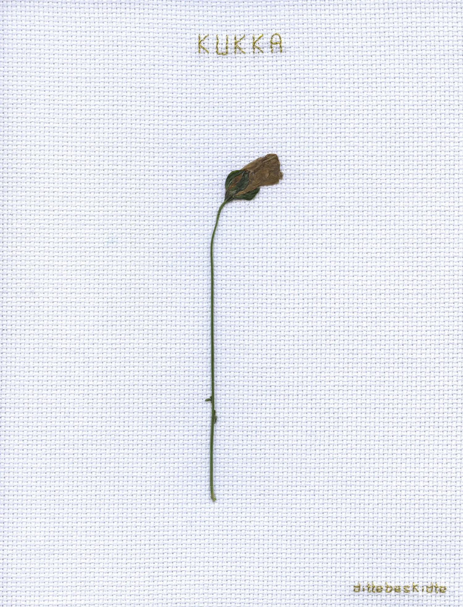 Kukka (blomst).