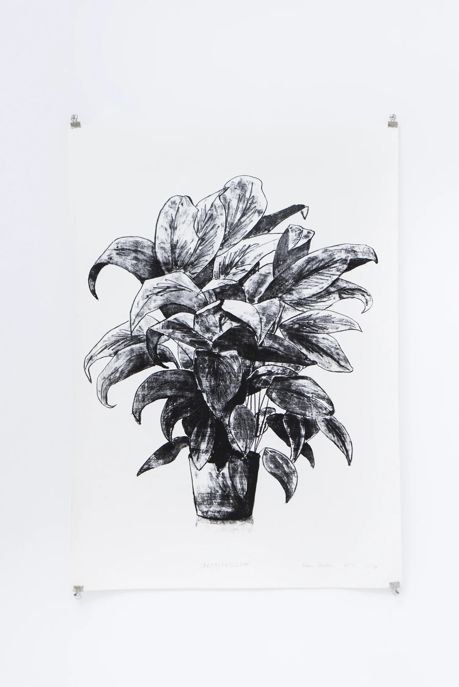 Adam Fenton "Spathiphyllum", 2017 (litograph on paper, 64x44.5cm) | Foto © I DO ART Agency.