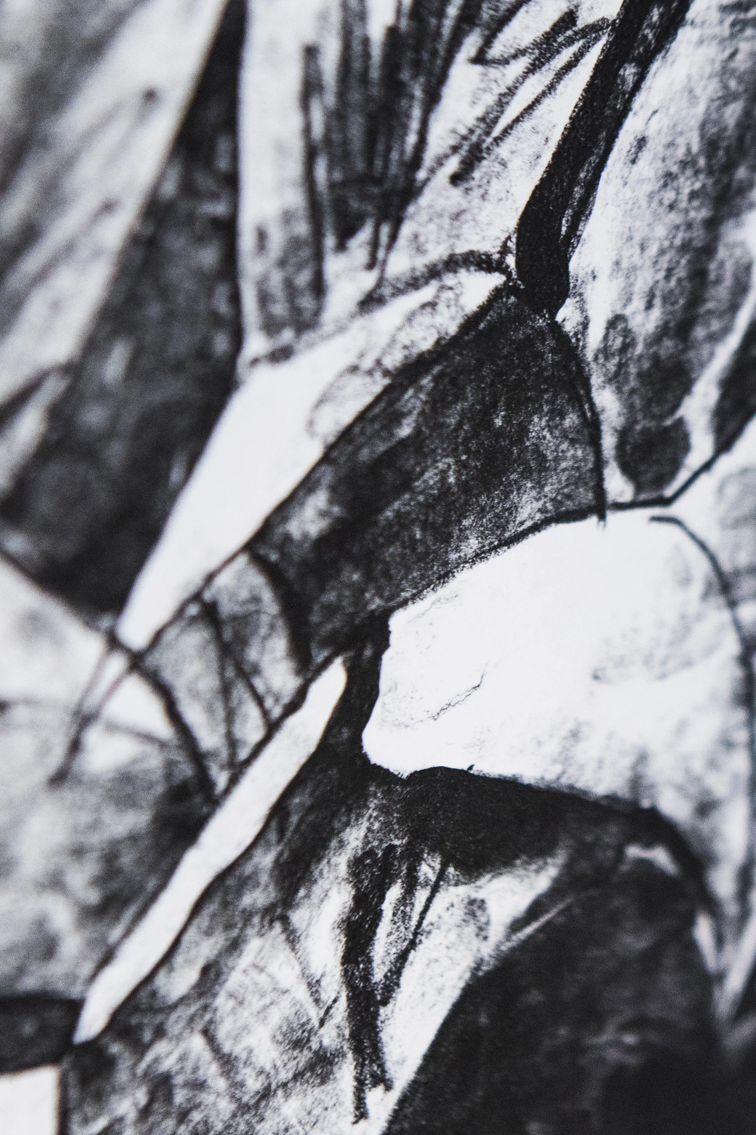 Adam Fenton "Spathiphyllum", 2017 (litograph on paper, 64x44.5cm) | Foto © I DO ART Agency.
