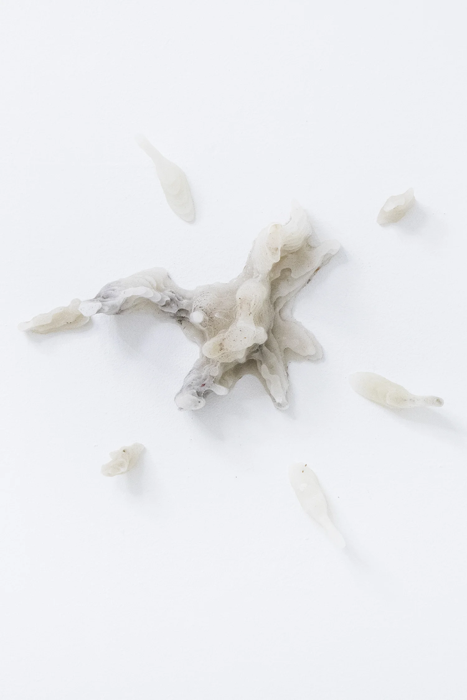 Gabriel Bott "Icaros flower", 2017 (paraffin wax, dimensions variable) | Foto © I DO ART Agency.