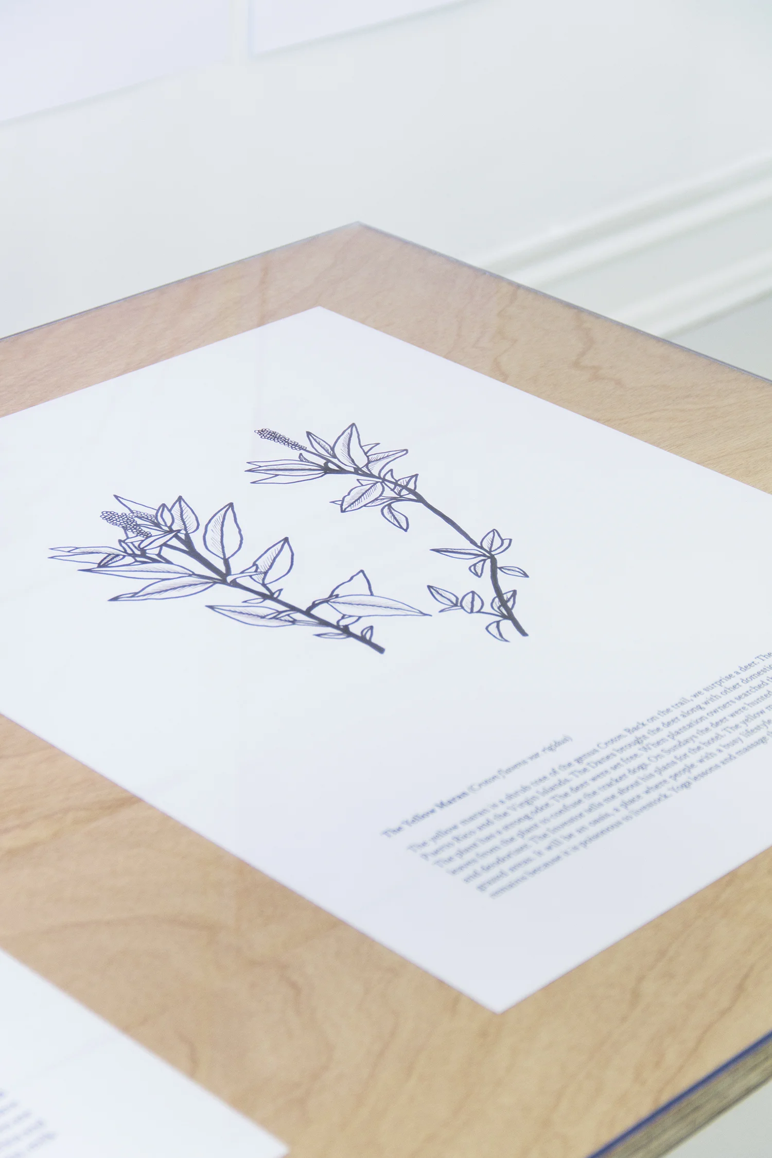 Unravelings , meter | Fotos © I DO ART Agency.