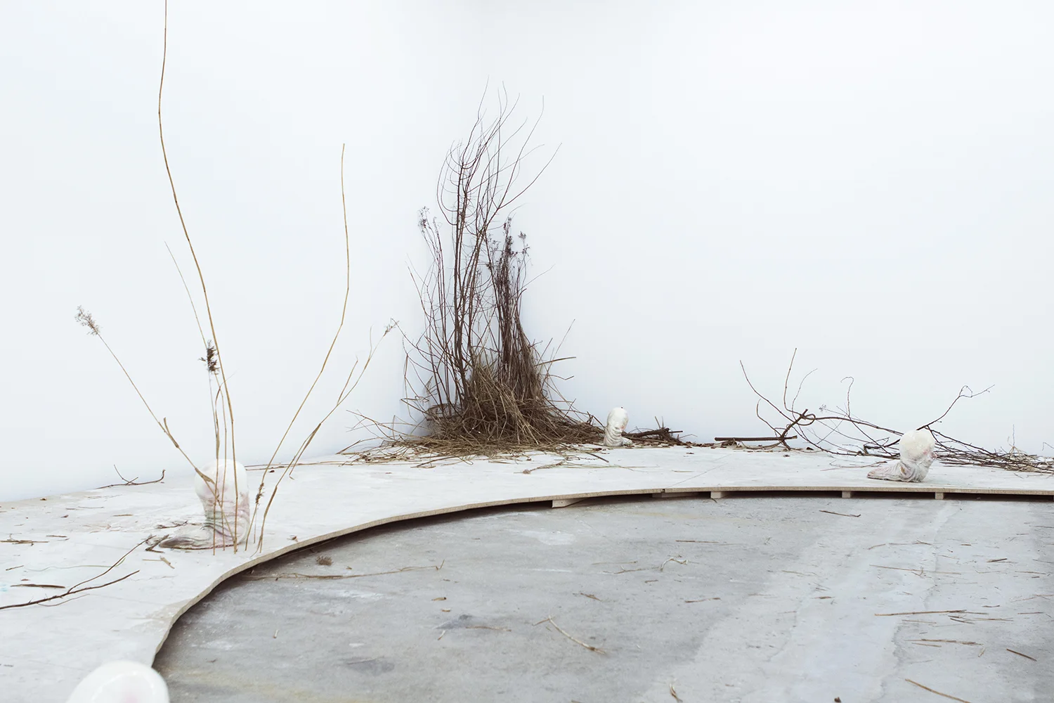 Rolf Nowotny | Foto: I DO ART Agency.