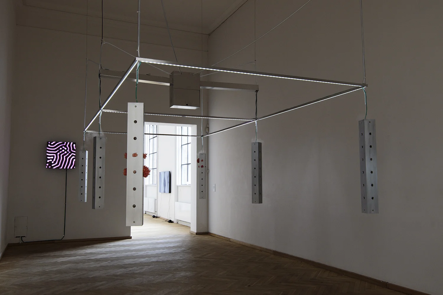Oskar Jakobsen "Intelligo" | Foto: I DO ART Agency.