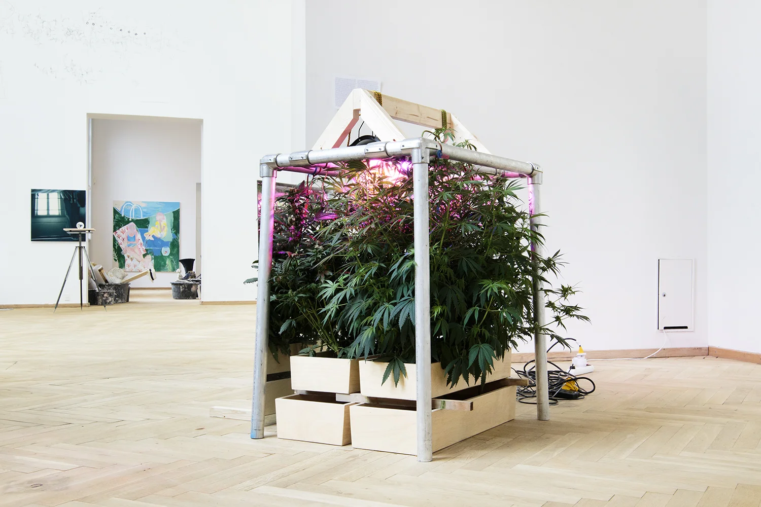 Malte Starck "A Hydroponic Grow System" | Foto: I DO ART Agency.