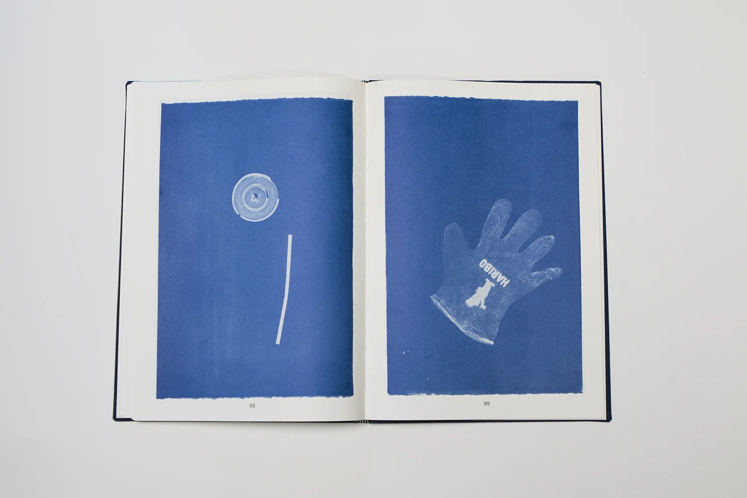 Nanna Debois Buhl "Botanizing on the Asphalt" | Fotos: I DO ART Agency.