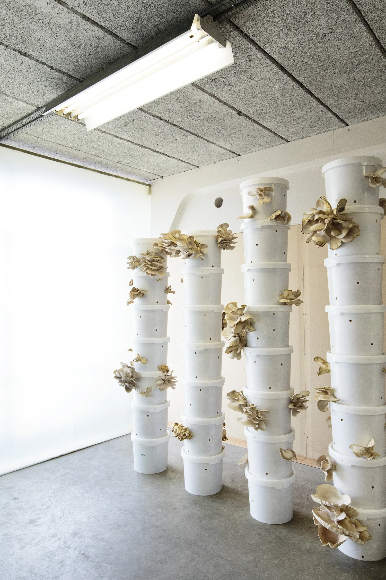 Peter Olsen "Sync", 2017 (Vacuumpose, plast, plastik, ler, postevand, plastspande, mycelium, østershatte, halm, kaffegrums, klid, kalk, dampspærre) | Foto © I DO ART Agency.