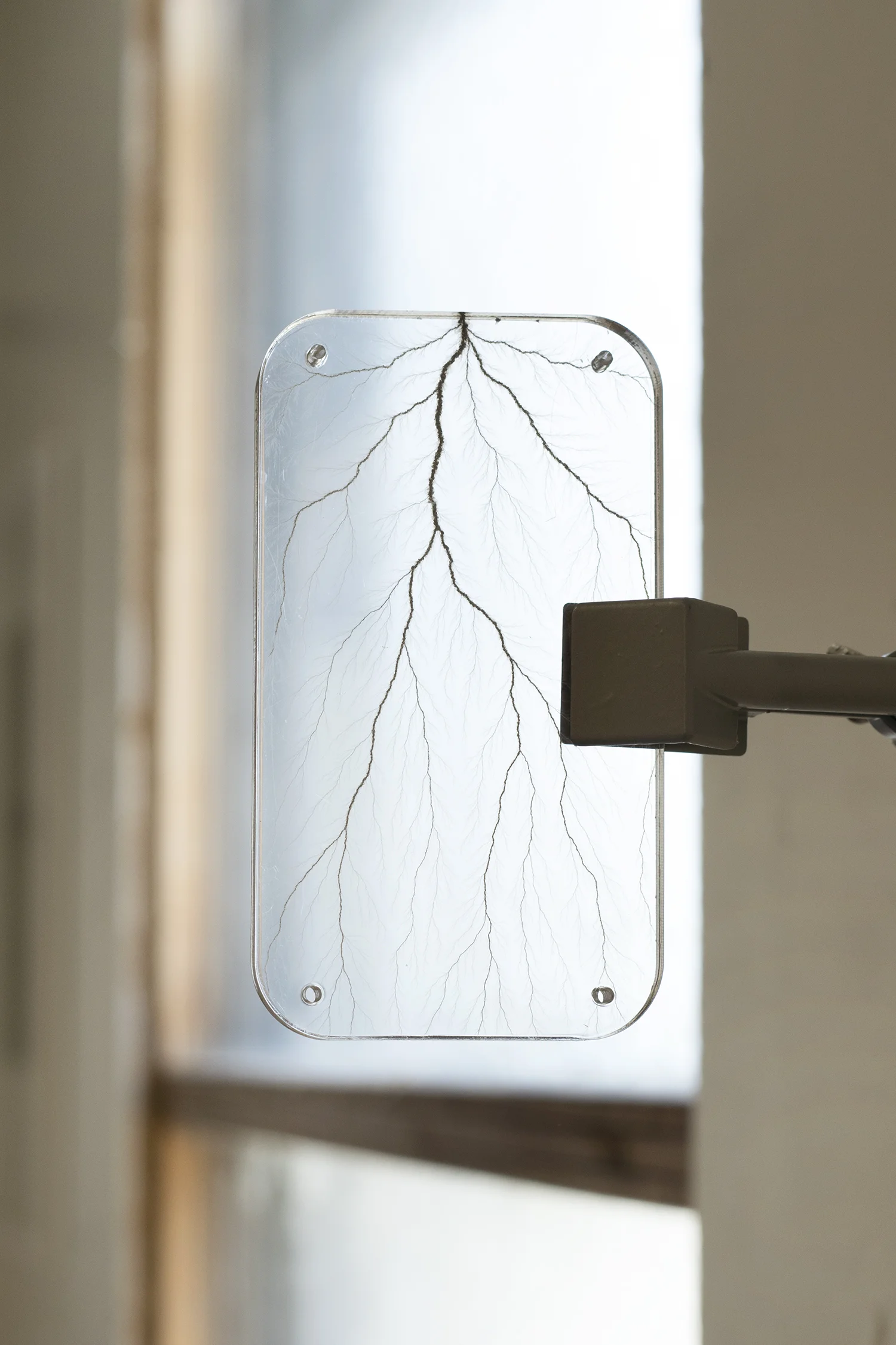 Astrid Myntekær "Palmstroke" (Lyn i plexiglas) | Foto © I DO ART Agency.
