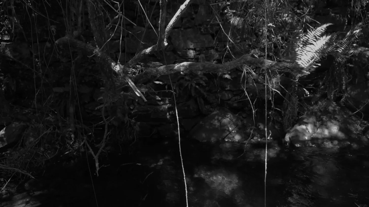 Still from "No you without Mountains, without Sun, without Sky".