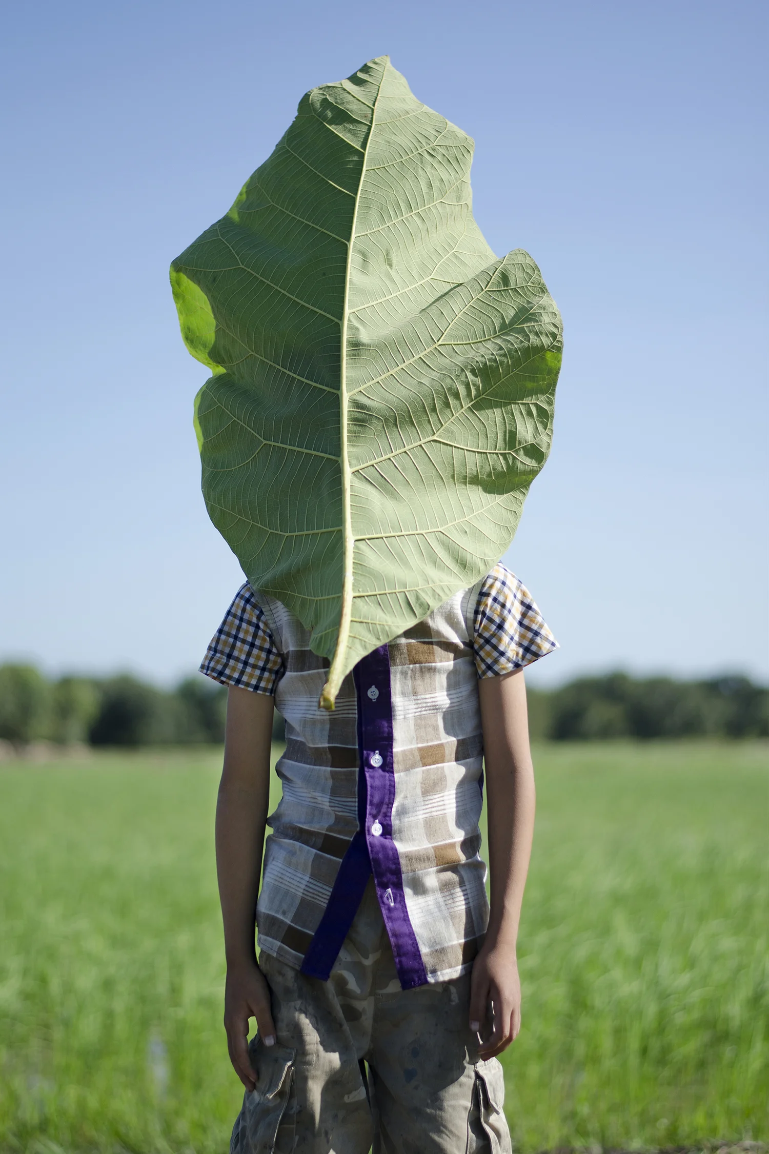 'Leaf' by Cambodian artist Neak Sophal.