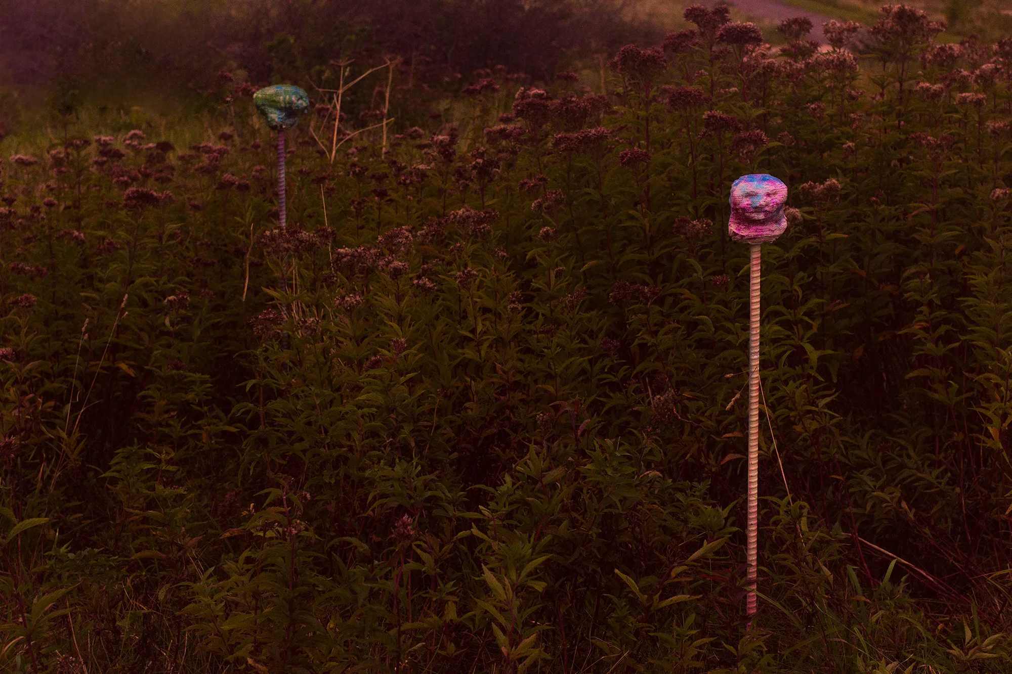Esben_ Gyldenløve_SOMEWHERE_2017_6-2.jpg