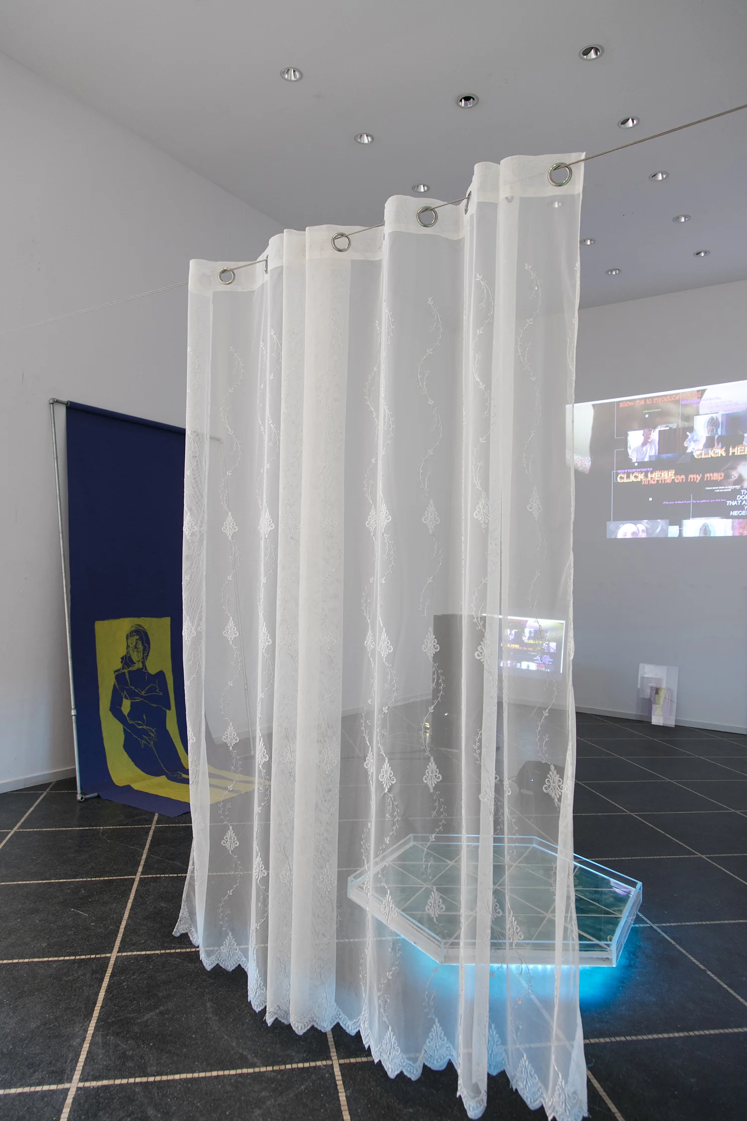Installation view. pro temp "Allow Me To Introduce Myself".