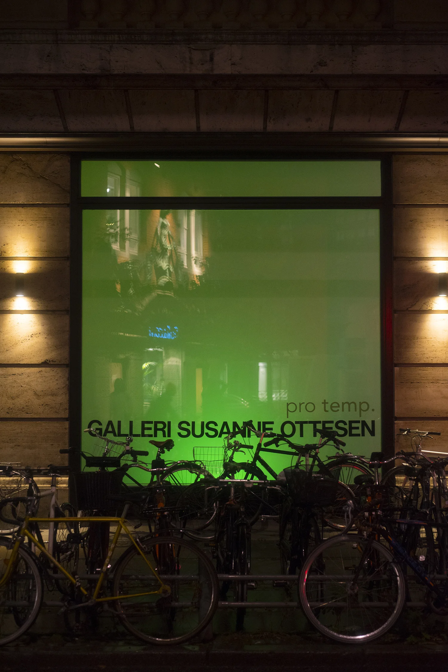 Pro temp. på Galleri Susanne Ottesen. Fotos af Niklas Adrian Vindelev.