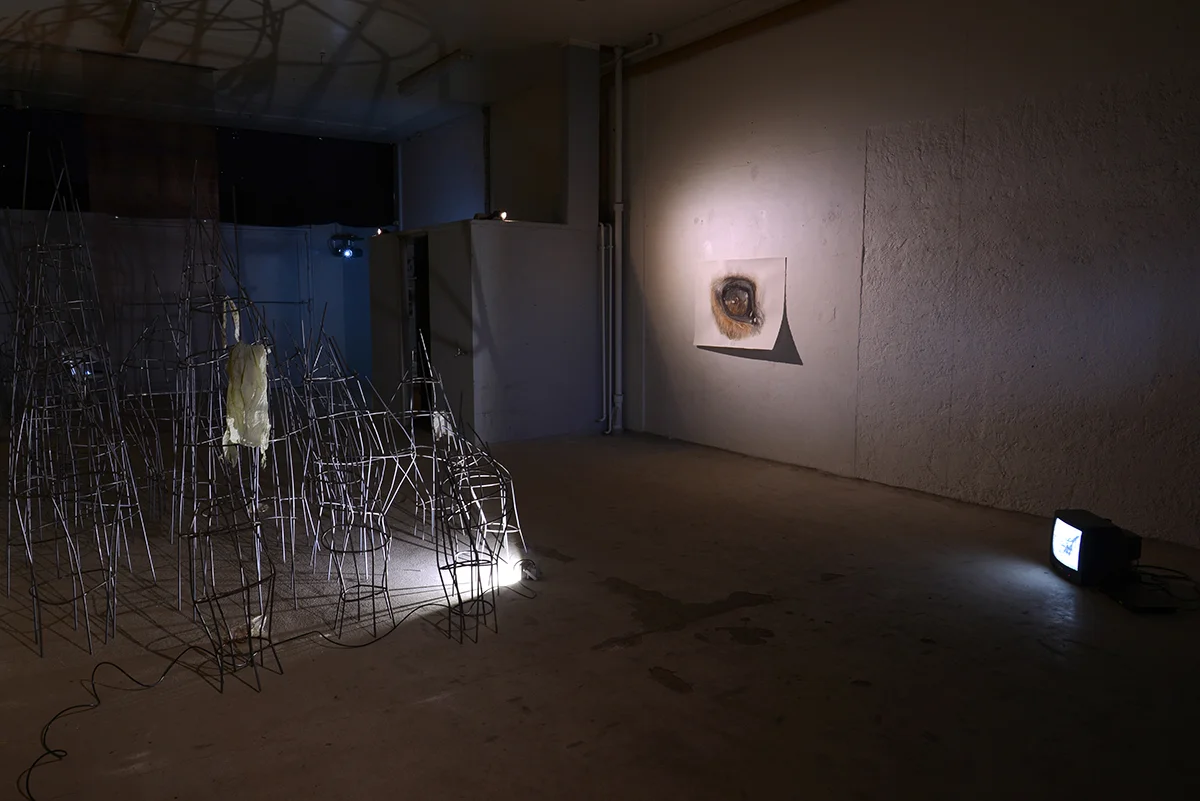 Øjet (installation view). Foto af Heidi Hove.