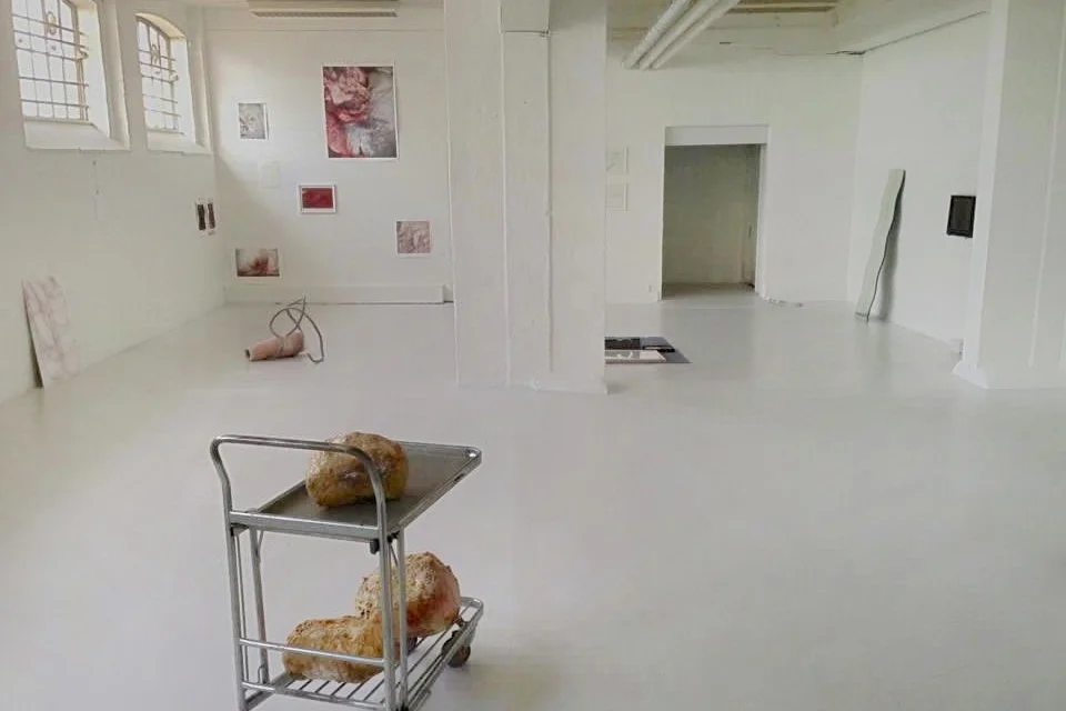 Staldgade 74 "Staldgade 74 er et Ateliérfælleskab og kunstnerdrevet udstillingssted placeret i Kødbyens kunst- og kulturliv. Vi huser udstillinger af både lokal og international karakter. Der er lagt op til eksperimenterende udstillinger, i et arbejdende kunstmiljø." Adresse: Staldgade 74, 1699 København V. Links: Facebook Foto: Signe Vad, 2016.