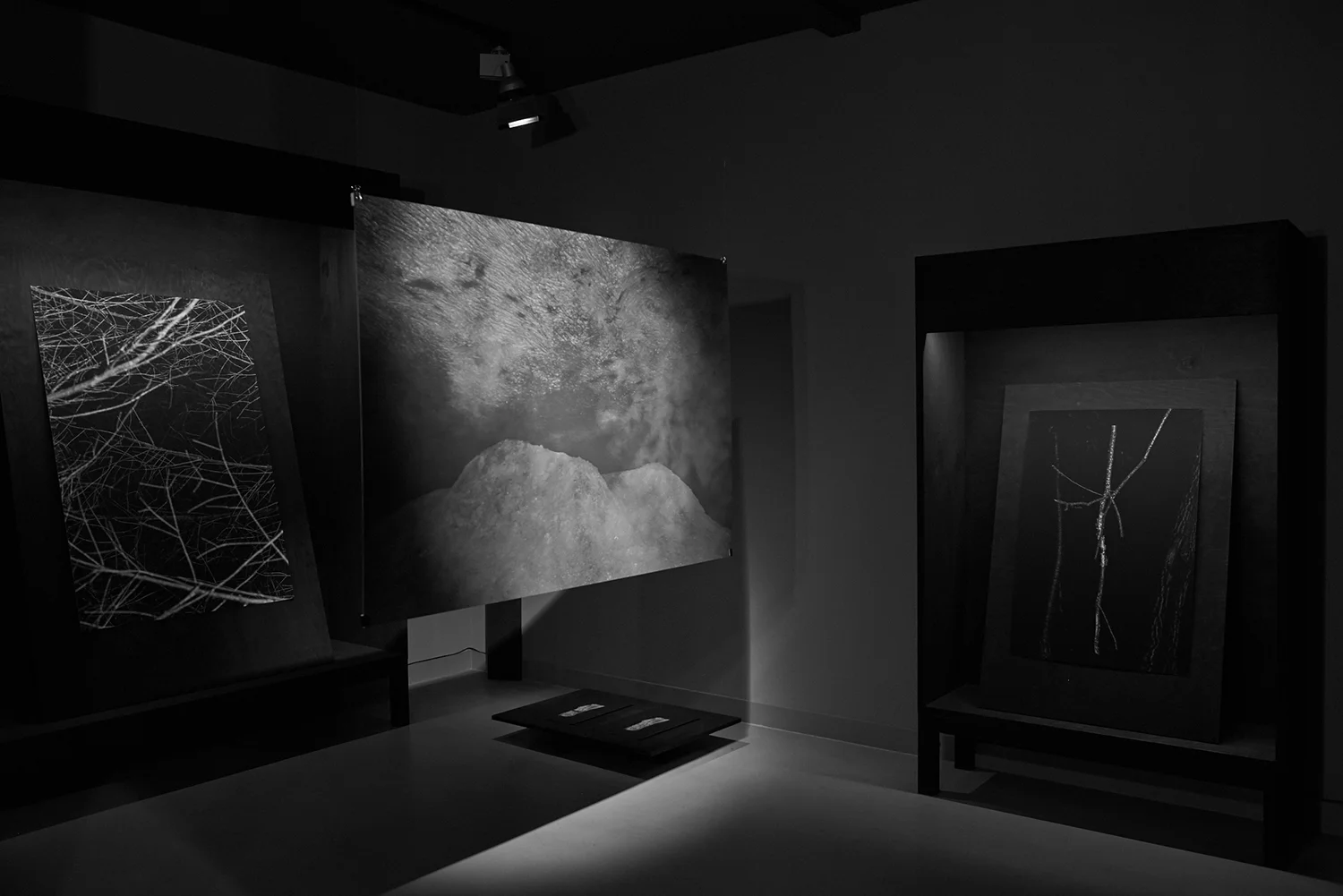 Peter Granser, I walked into a cave and up to Paradajs. Exhibition at ITO.