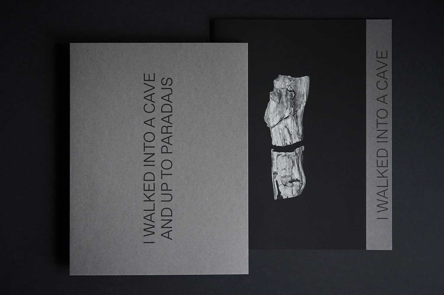 Peter Granser, I walked into a cave and up to Paradajs (Special Edition).