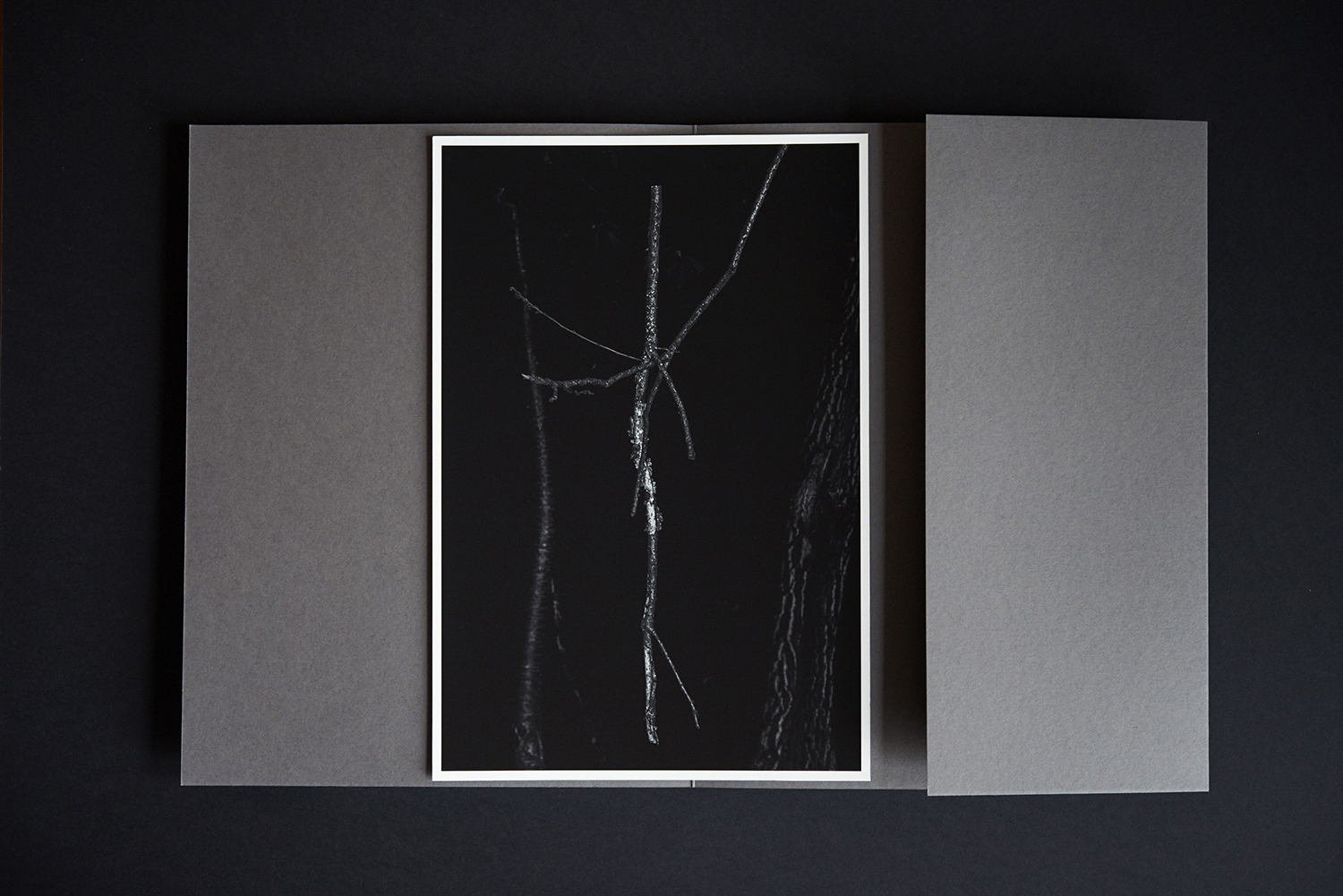 Peter Granser, I walked into a cave and up to Paradajs (Special Edition).