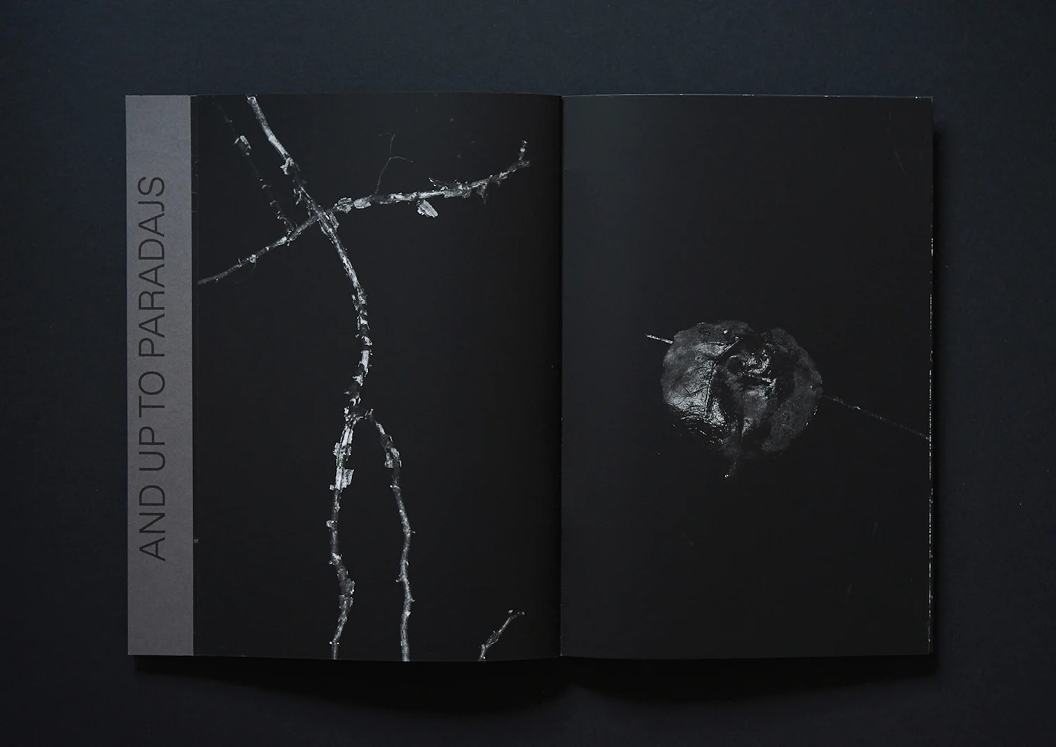 Peter Granser, I walked into a cave and up to Paradajs (Artist's book).