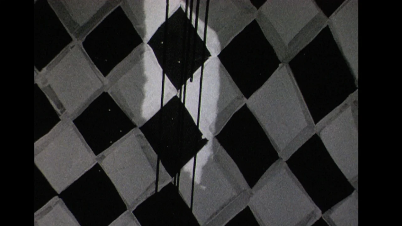 Annika Ström "The Dying Colour," 2010 (Still). © Annika Ström.