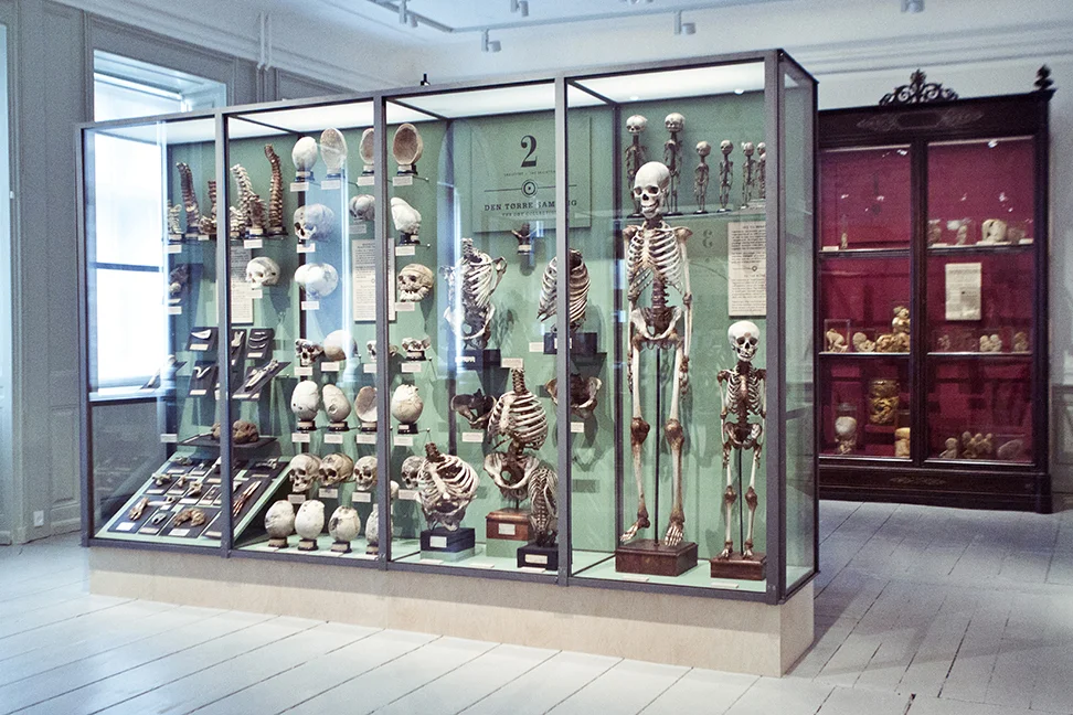 Medicinsk Museion "Medicinsk Museion er holder til i det oprindelige Kongelige Kirurgiske Akademi, Bredgade 62. Her udstiller Medicinsk Museion og holder arrangementer og events om den medicinske kulturarv. Medicinsk Museion har desuden en museumssamling, som er grundlagt i 1906 af en gruppe københavnske læger. Den første udstilling åbnede for publikum i anledning af Lægeforeningens 50 års jubilæum i 1907. Samlingen består i dag af over 250.000 genstande." Adresse: Bredgade 62, 1260 København K. Links: Museion.ku.dk | Læs mere på idoart.dk Foto: I DO ART Agency, 2015.