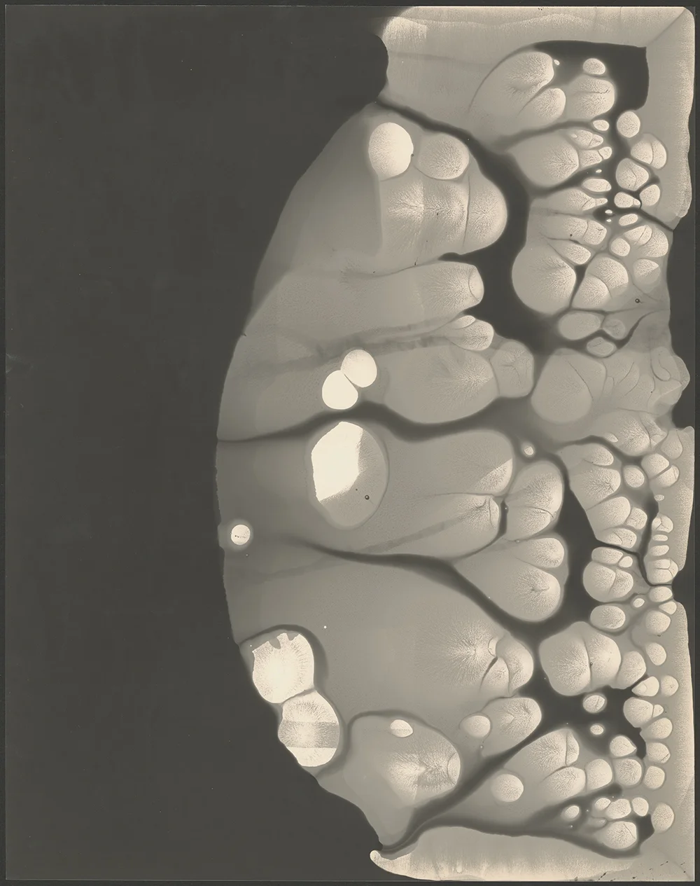 Nicolai Howalt.