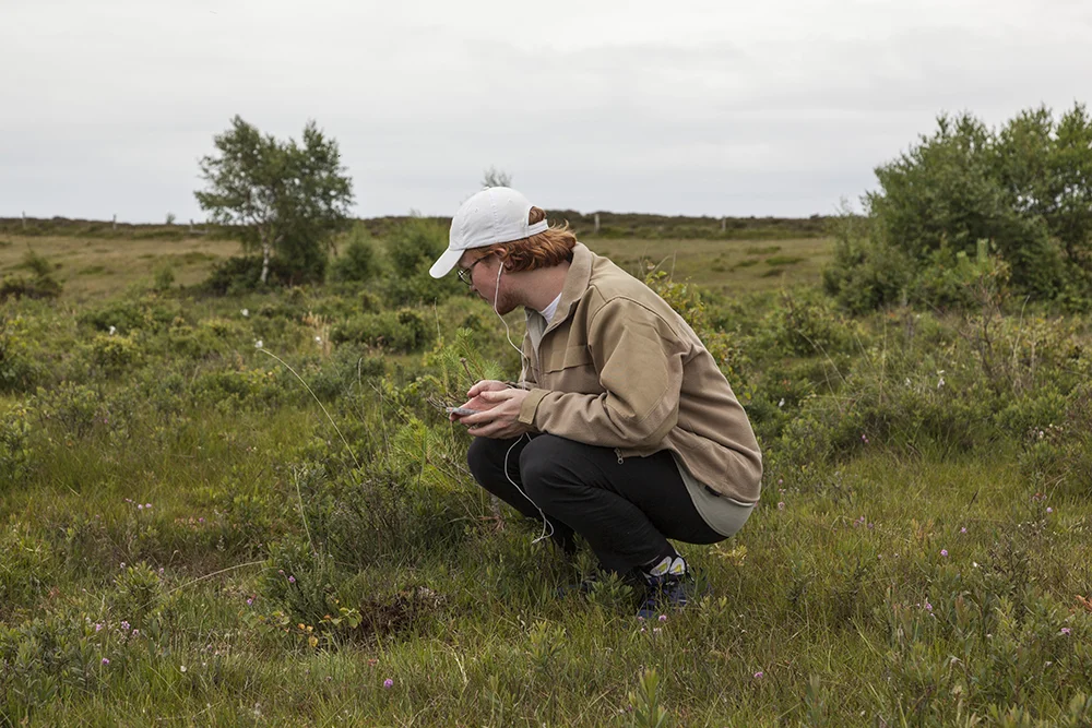 Amalie Smith, Radio Soldug: Vi græsser på den samme ø. (Lydværk, Læsø Kunsthal, 2017). Foto: Malle Madsen.