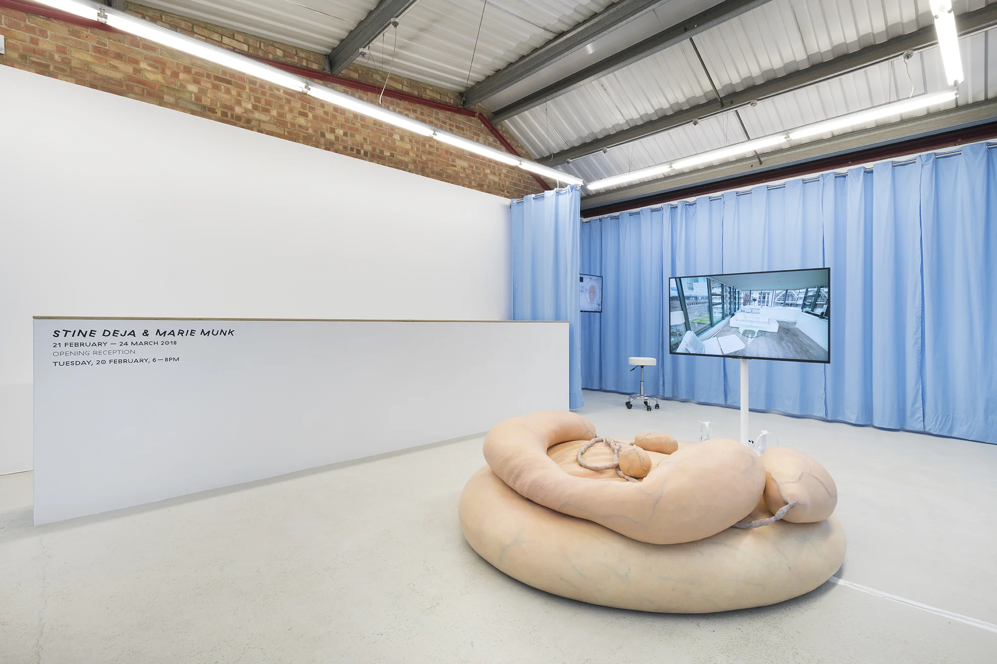 Stine Deja & Marie Munk, Synthetic Seduction. Installation view, Annka Kultys, 2018.