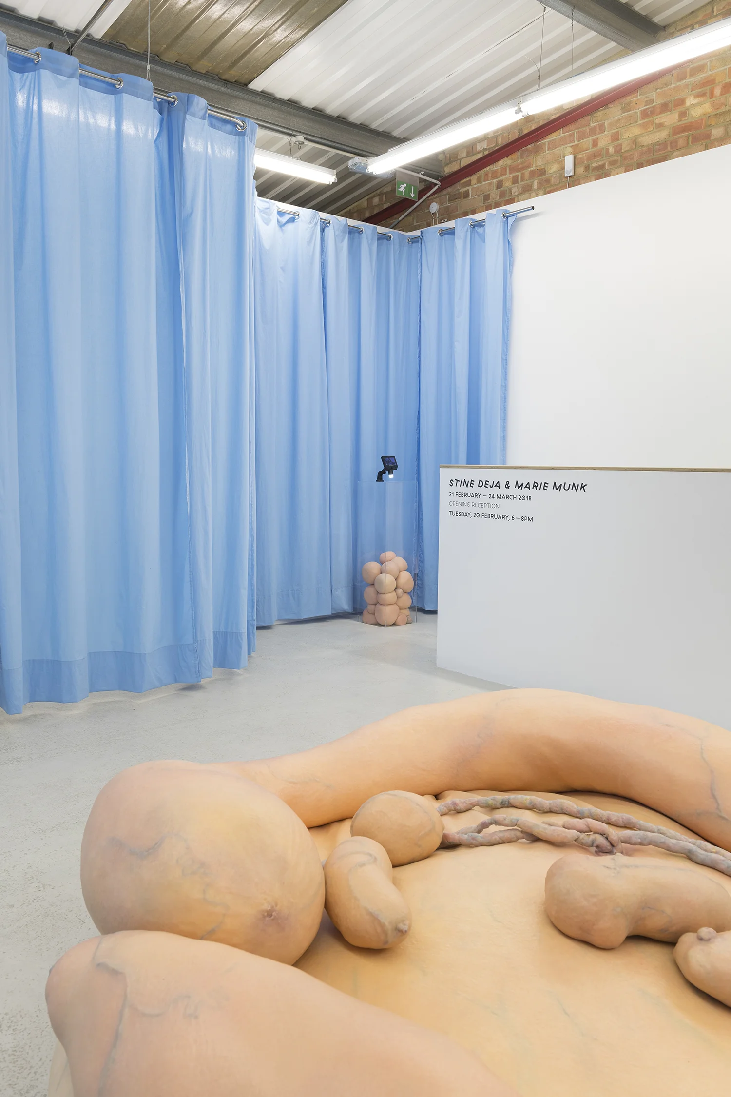 Stine Deja & Marie Munk, Synthetic Seduction. Installation view, Annka Kultys, 2018.