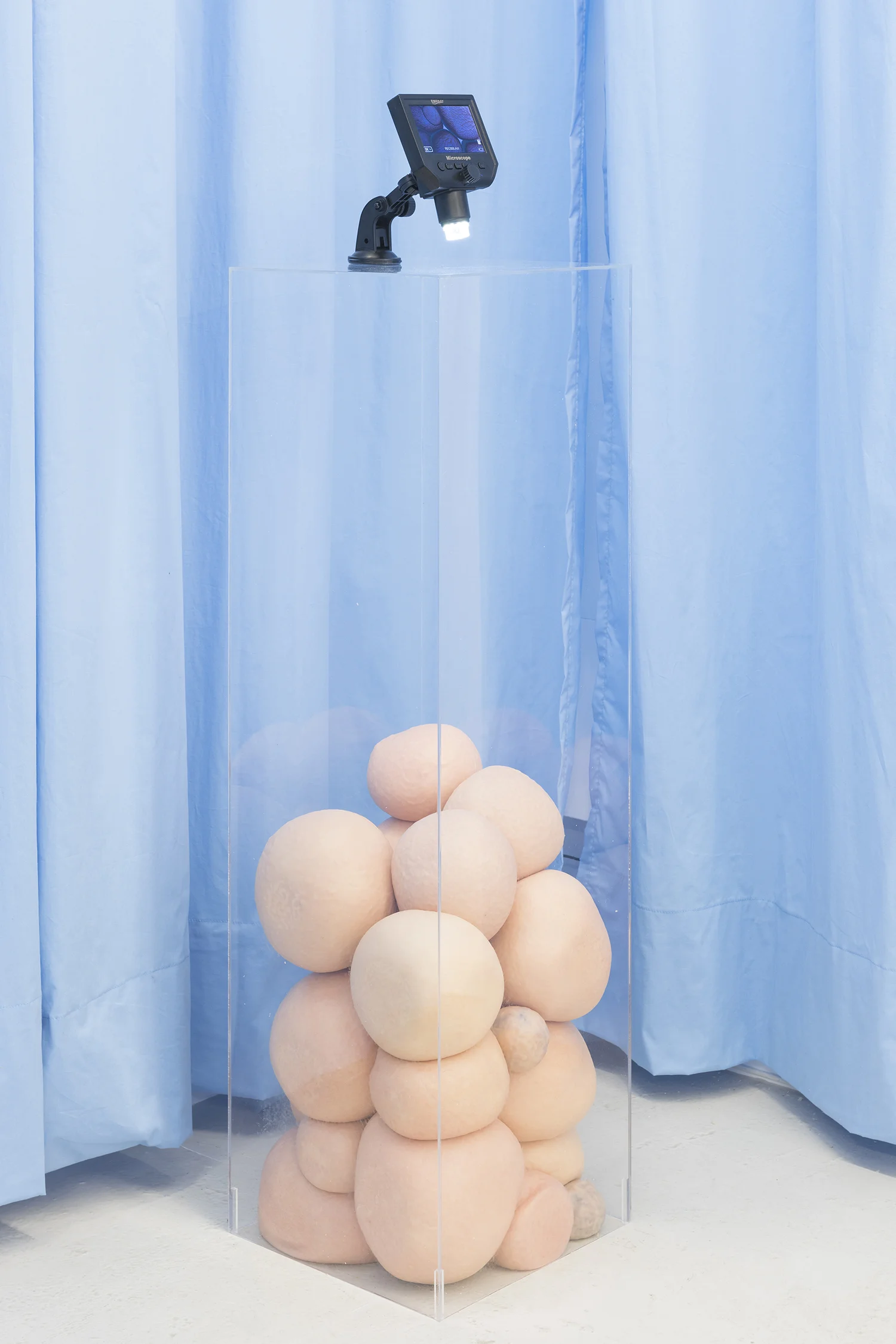 Stine Deja & Marie Munk, Synthetic Seduction. Installation view, Annka Kultys, 2018.