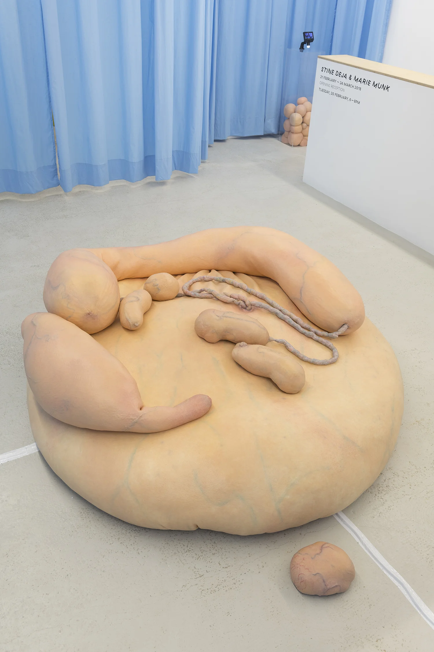 Stine Deja & Marie Munk, Synthetic Seduction. Installation view, Annka Kultys, 2018.