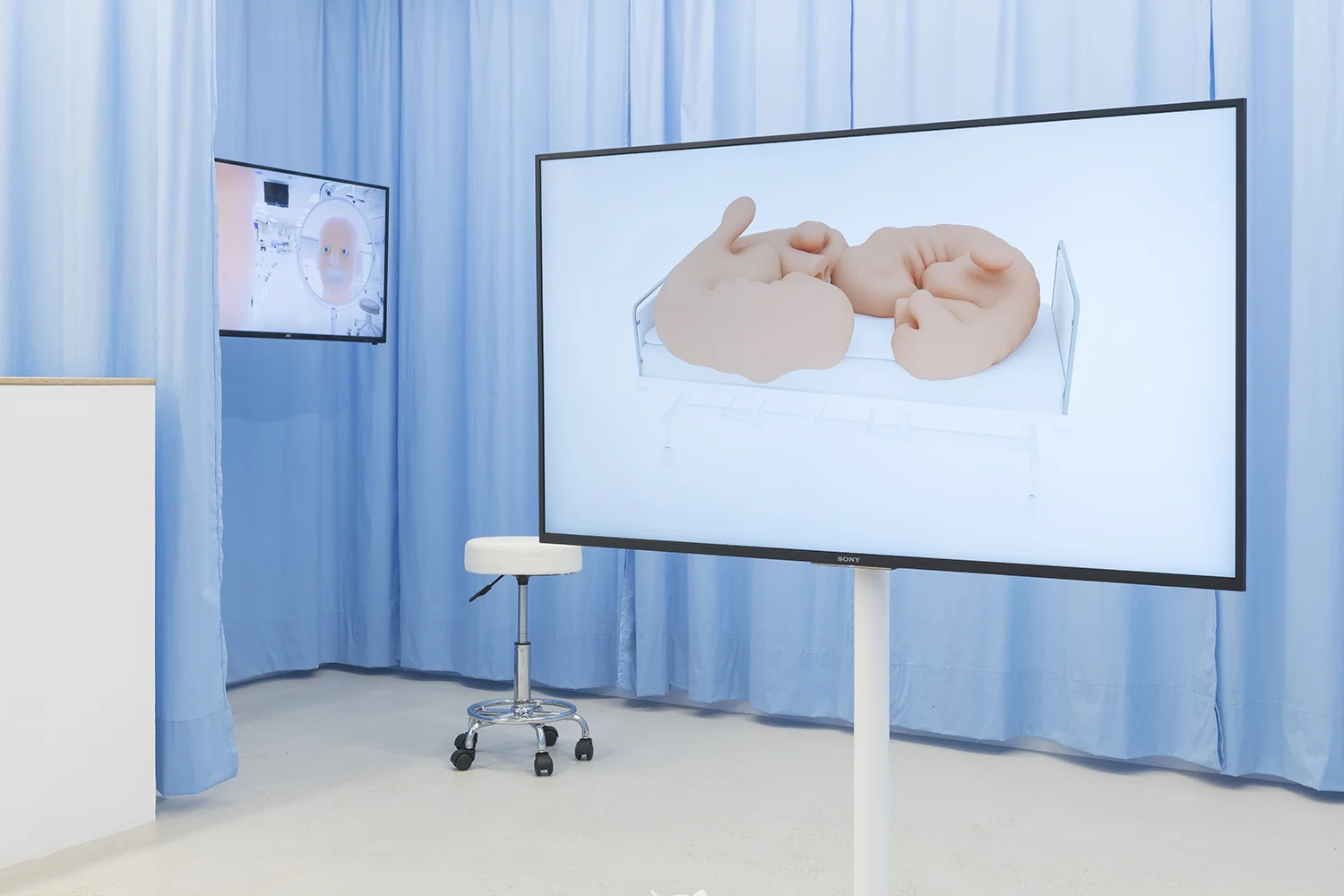 Stine Deja & Marie Munk, Synthetic Seduction. Installation view, Annka Kultys, 2018.