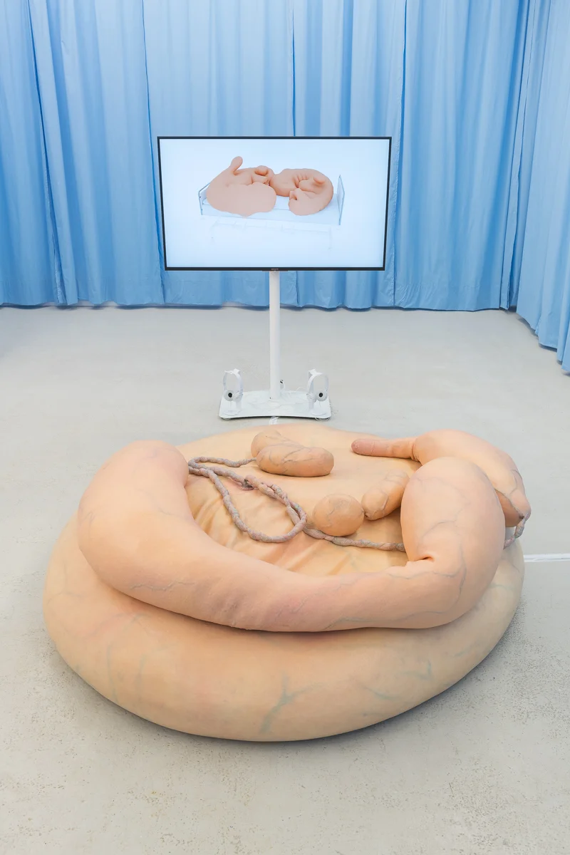 Stine Deja & Marie Munk, Synthetic Seduction. Installation view, Annka Kultys, 2018.