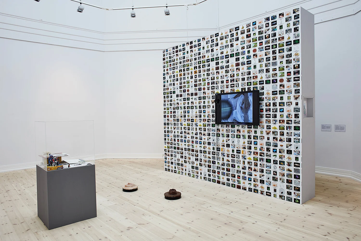 Lynn Hershmann Leeson, GMO Animals, Crops, Labs, 2014 & Seduction of a Cyborg, 1994. Foto: Kåre Viemose