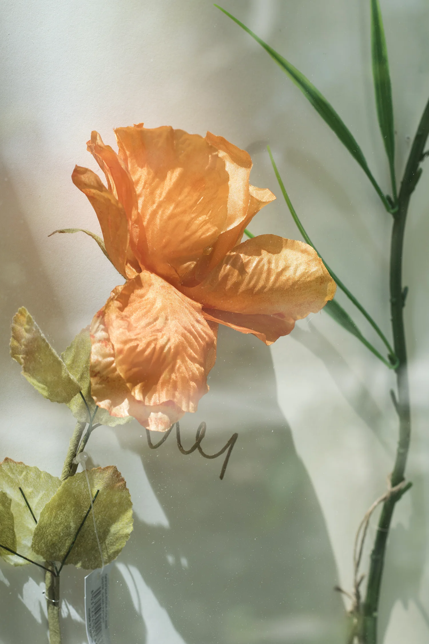 Alberto Baraya, New Herbs from Palermo and Surroundings – A Sicilian Expedition. Manifesta 12. Foto © I DO ART Agency.