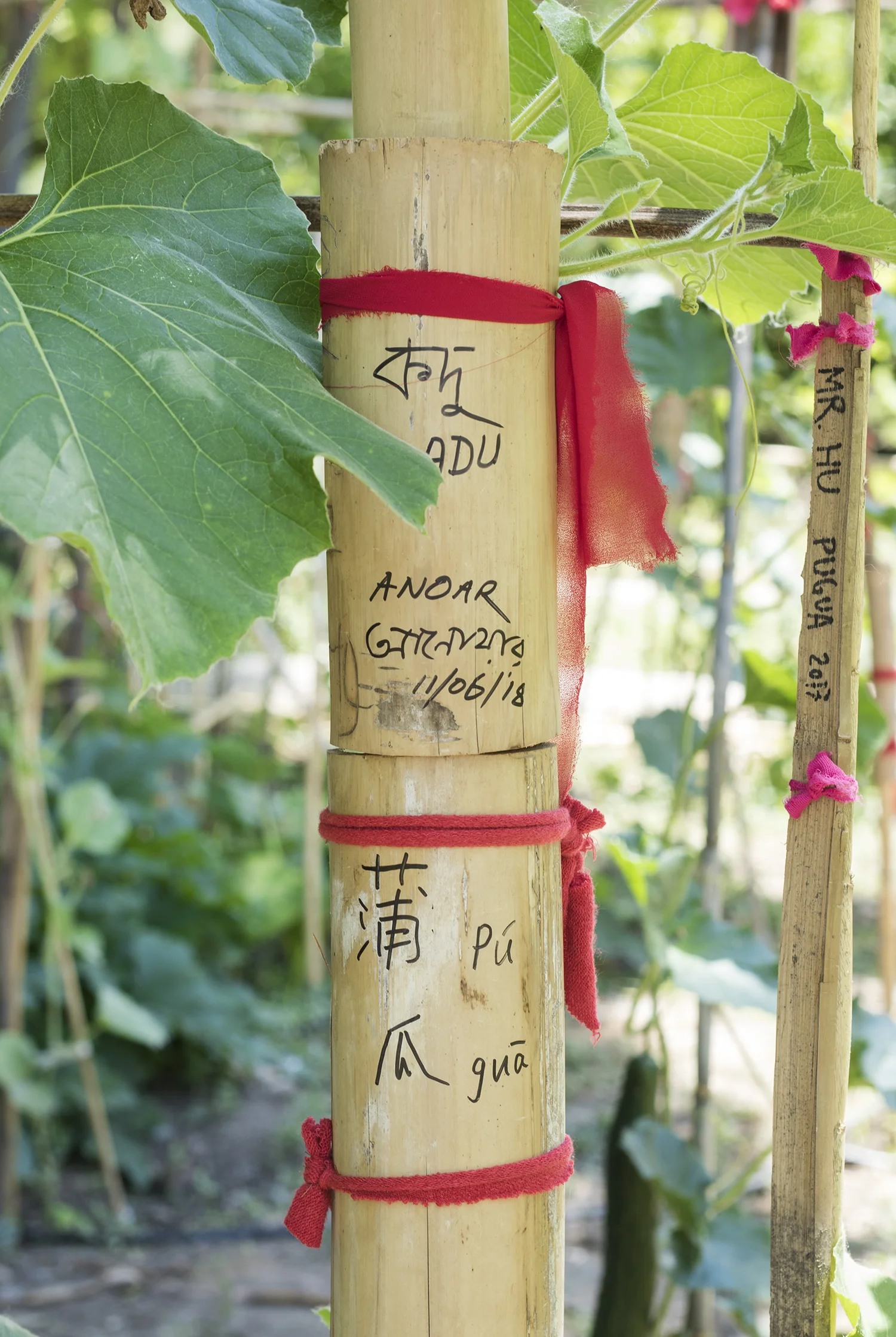 Leone Contini, Foreign Farmers. Foto © I DO ART Agency.