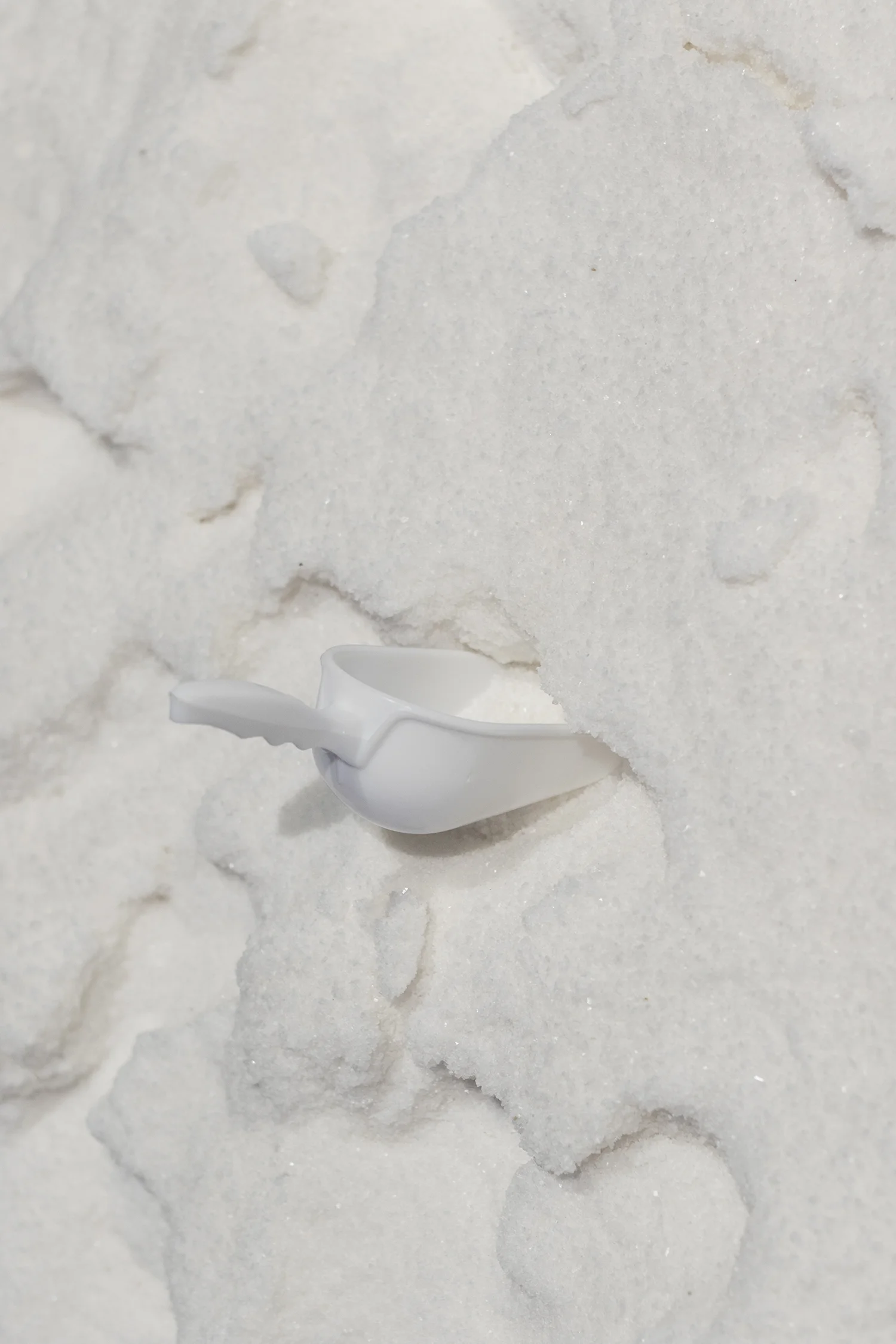 Patricia Kaersenhout, The Soul of Salt (detalje). Manifesta 12. Foto © I DO ART Agency.