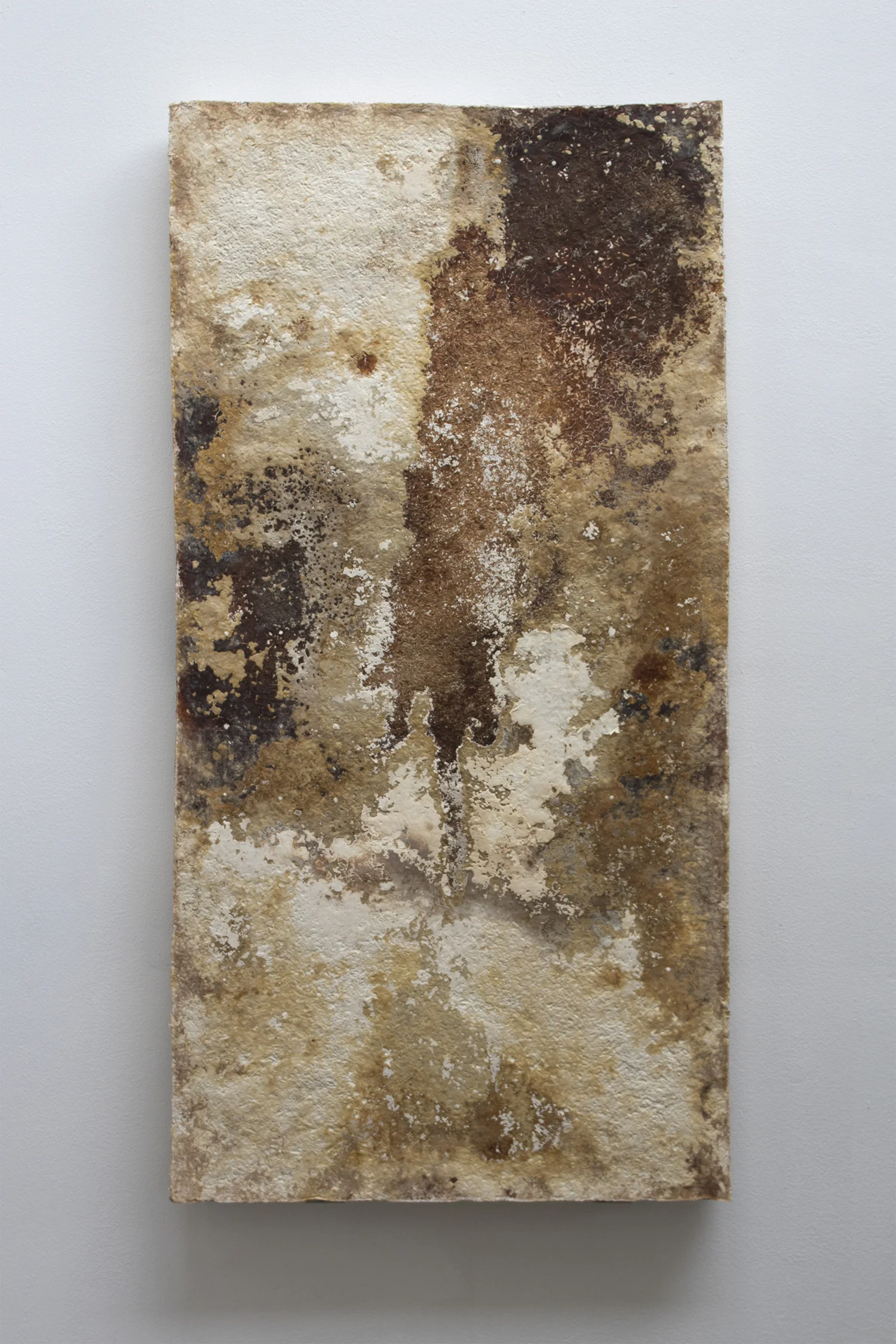 Studio ThinkingHand “Reishi,” 2018 (Reishi mycelium, hemp substrate. 60(w) x 120(h) x 5(d) cm).