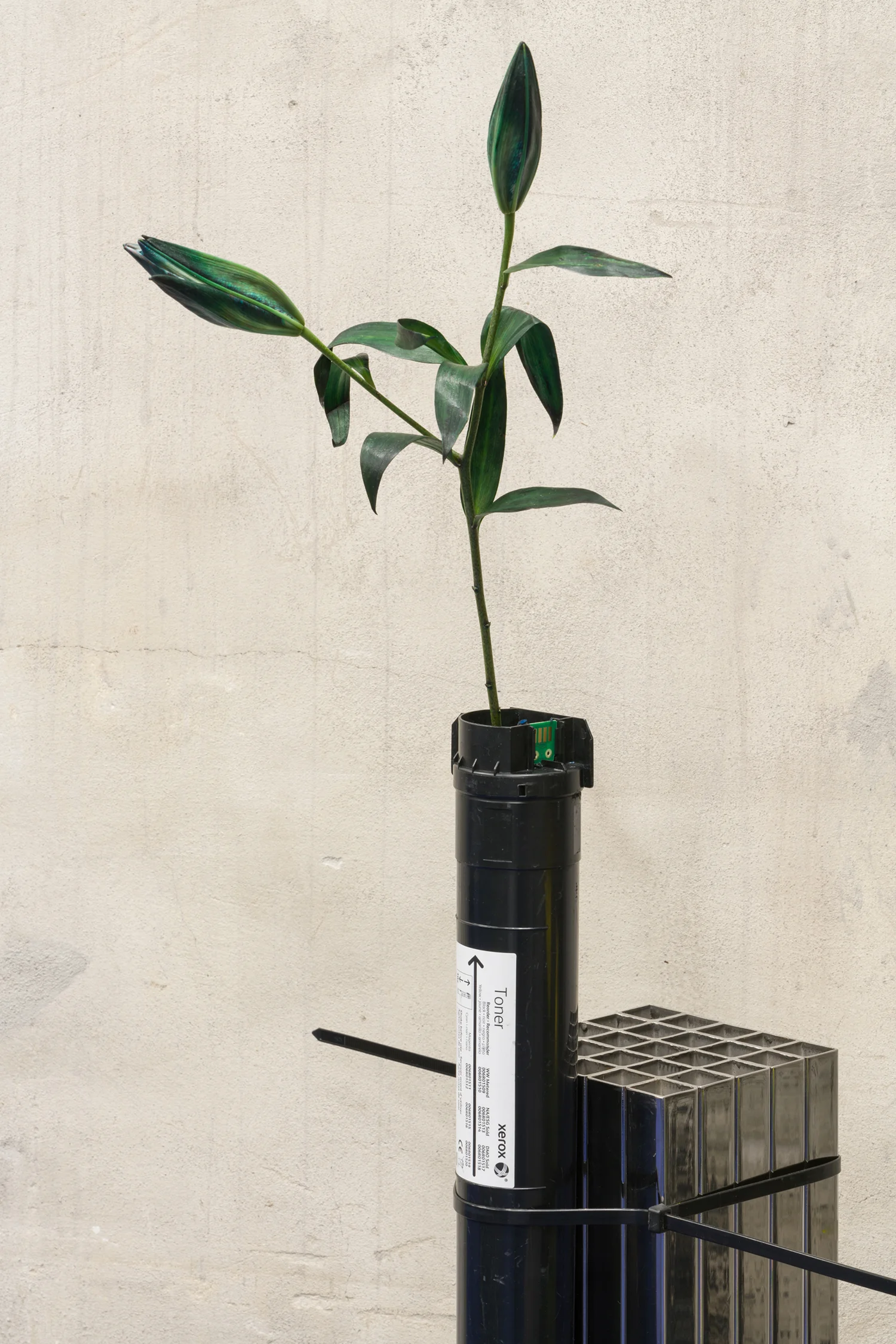 David Stjernholm “Toner“ at Tableau, 2019. Photo: David Stjernholm.