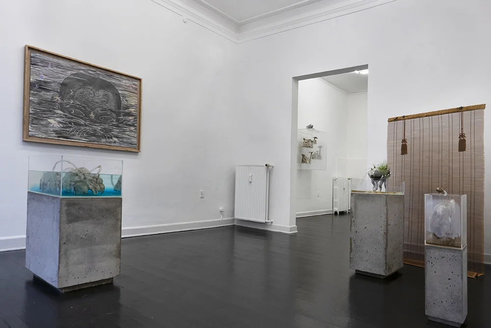 Silas Inoue, owΔηiʍa station. Installation view Marie Kirkegaard Gallery.