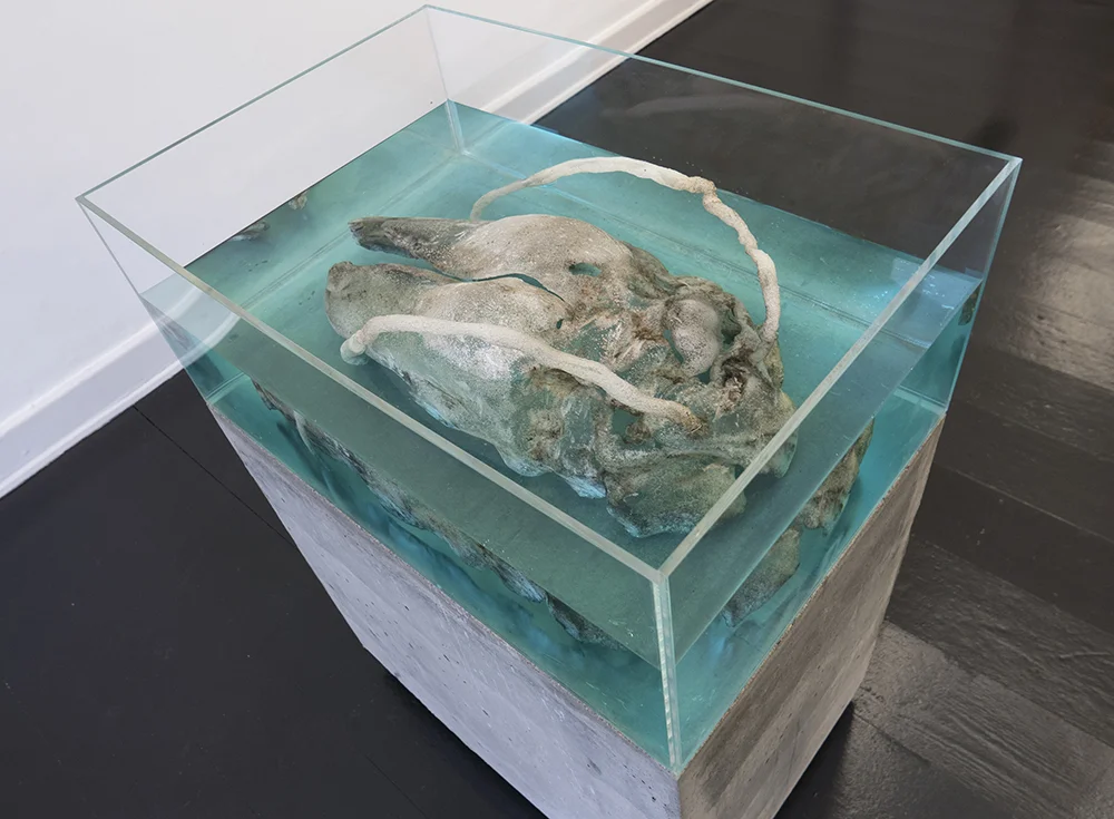 Silas Inoue, owΔηiʍa station. Marie Kirkegaard Gallery.